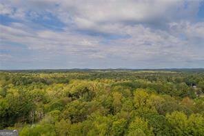 6375 Caladium Drive Acworth - 38