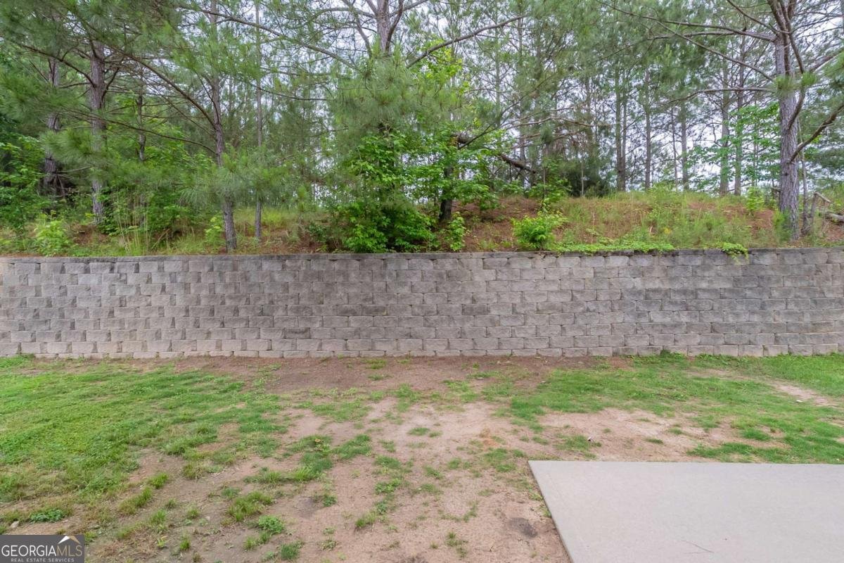 3399 Lake Forge Fairburn - 1