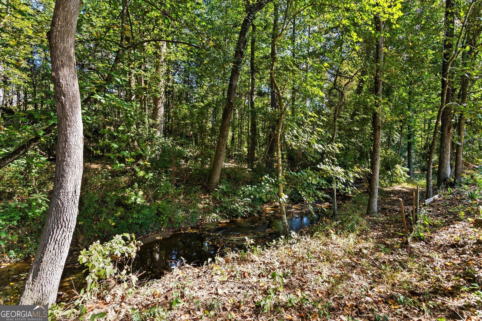 5513 EMILY Circle Ellenwood - 57