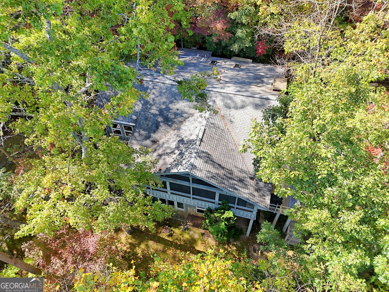 66 Andrews Lane Clayton - 10