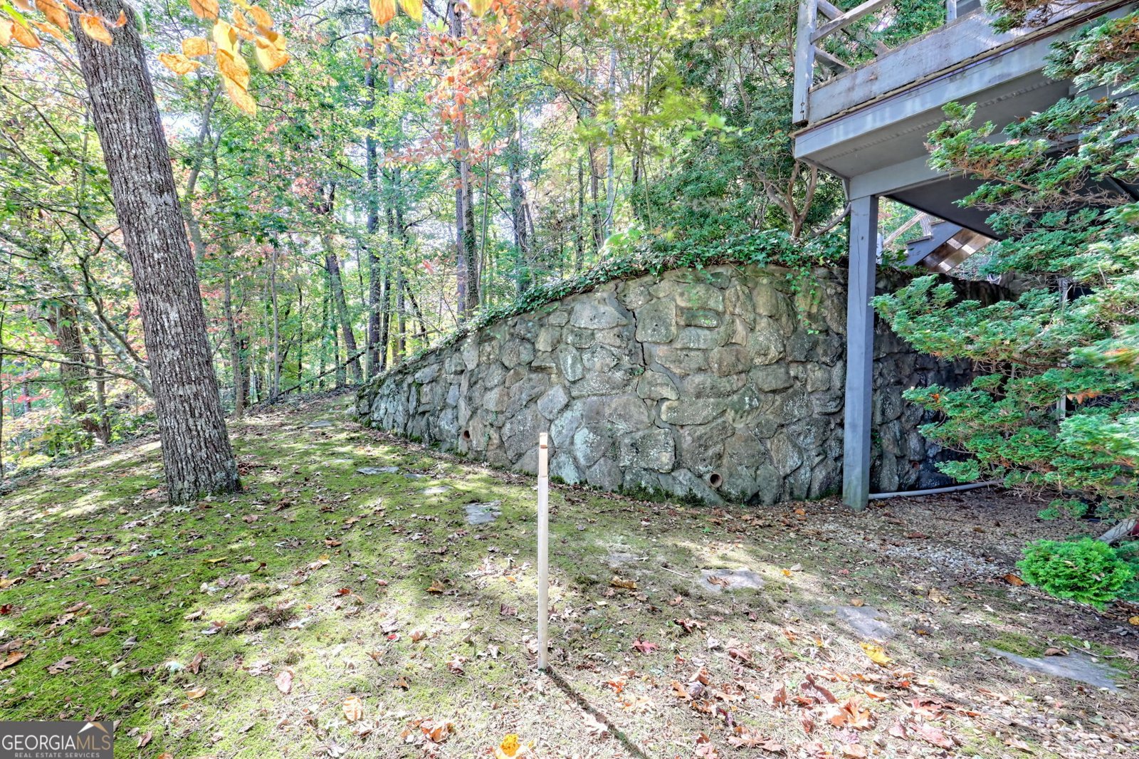 66 Andrews Lane Clayton - 52