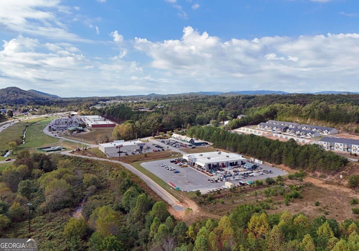 51 Grove Loop Blue Ridge - 12