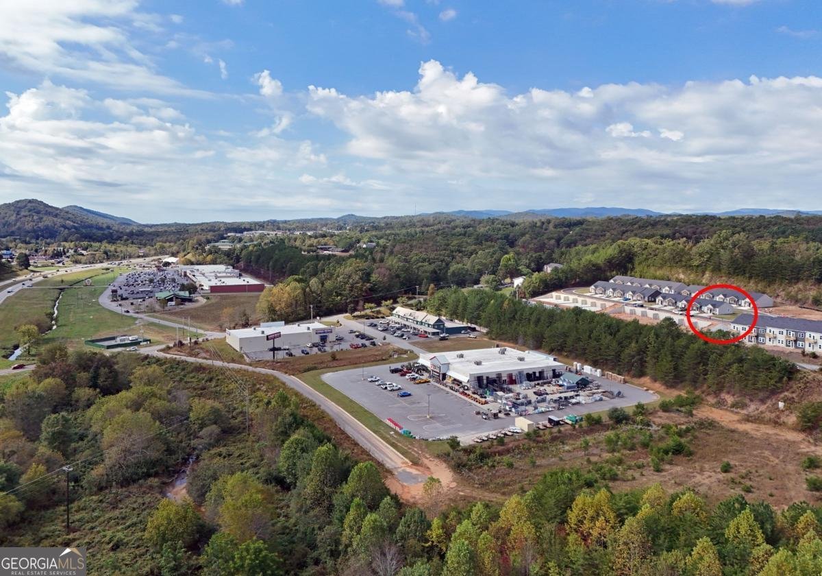 51 Grove Loop Blue Ridge - 13