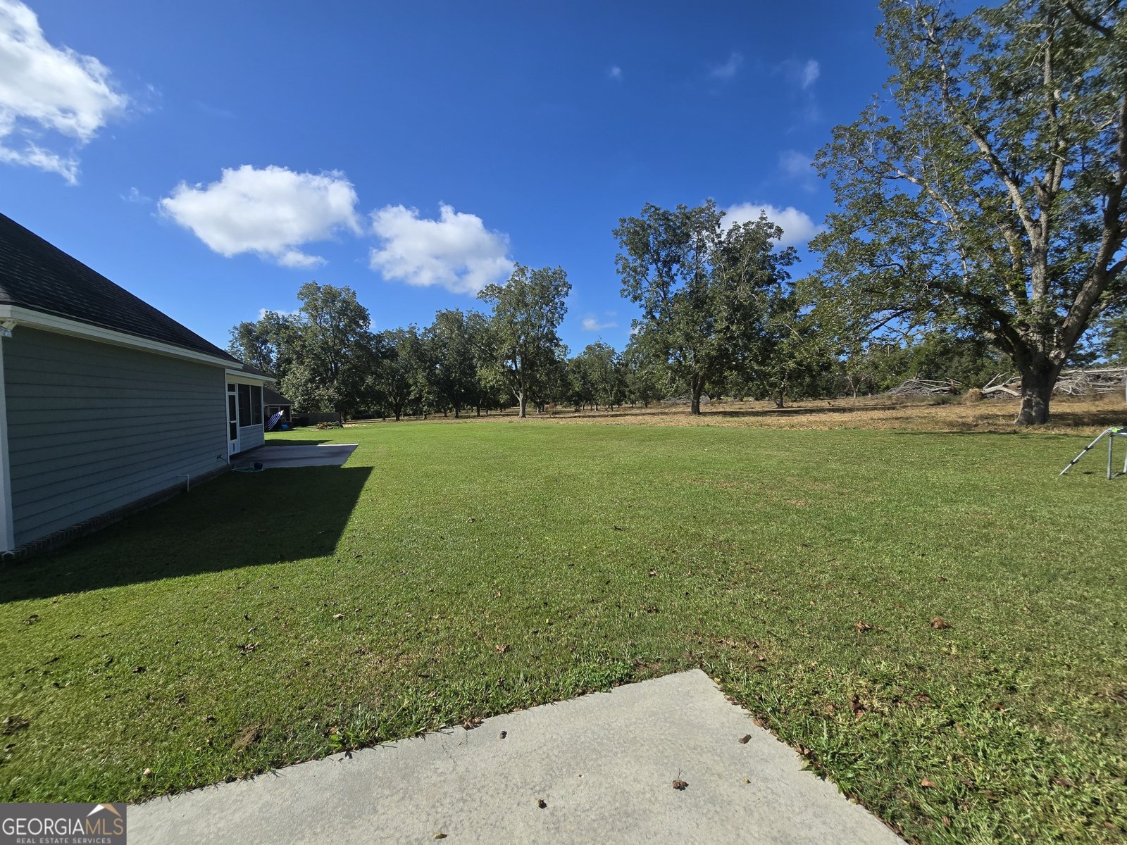 4593 San Saba Drive Hahira - 2