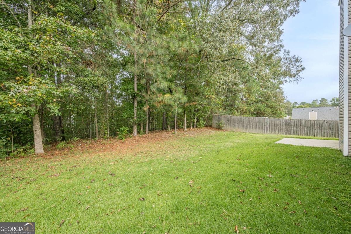 1541 Autumn Wood Trail Buford - 5