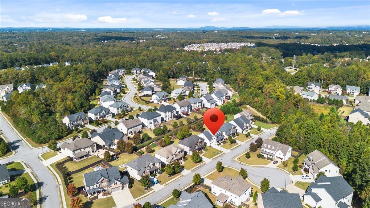 3238 Leyden Court Buford - 3