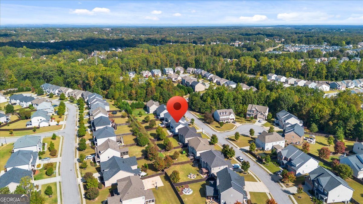 3238 Leyden Court Buford - 4