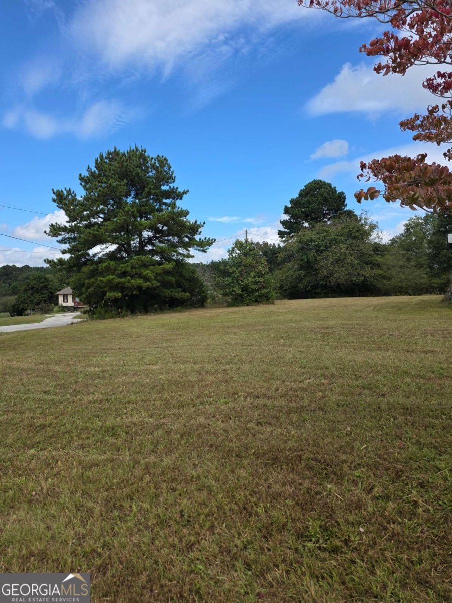 5491 Bold Springs Road Dacula - 3