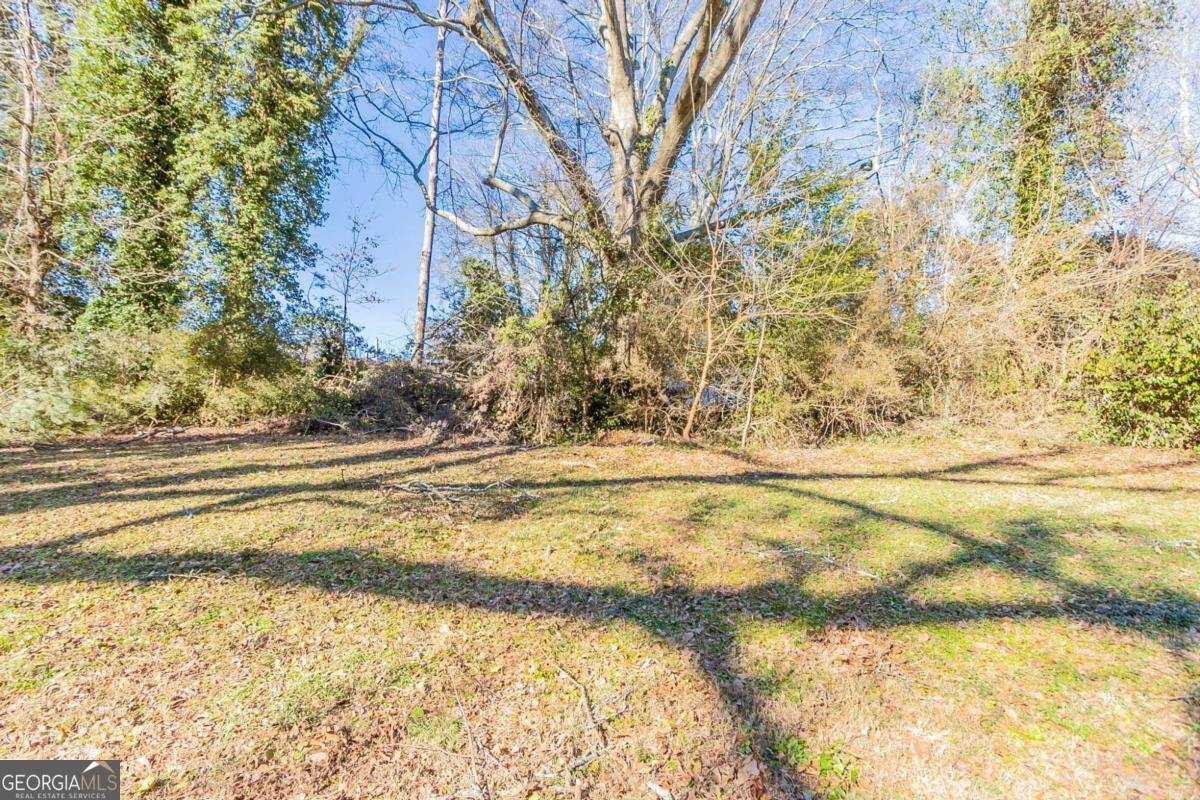 3024 Catalina Drive Decatur - 5