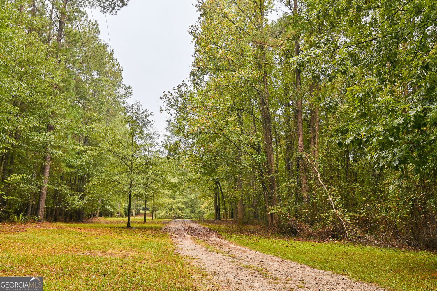 1051 Long Wood Drive Madison - 12