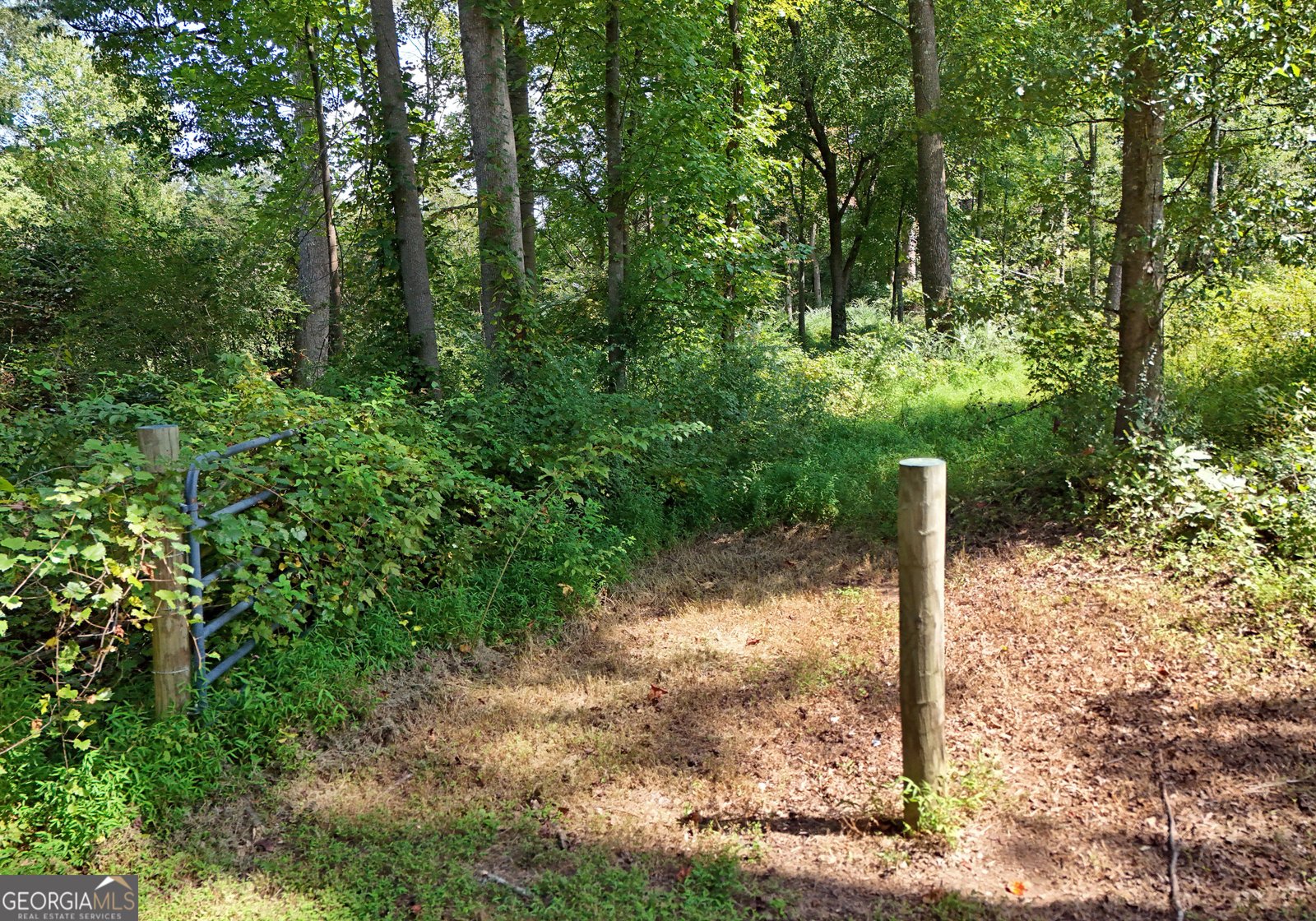 8465 Hwy 254 Cleveland - 20