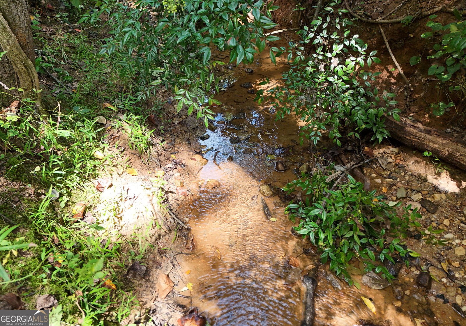 8465 Hwy 254 Cleveland - 21