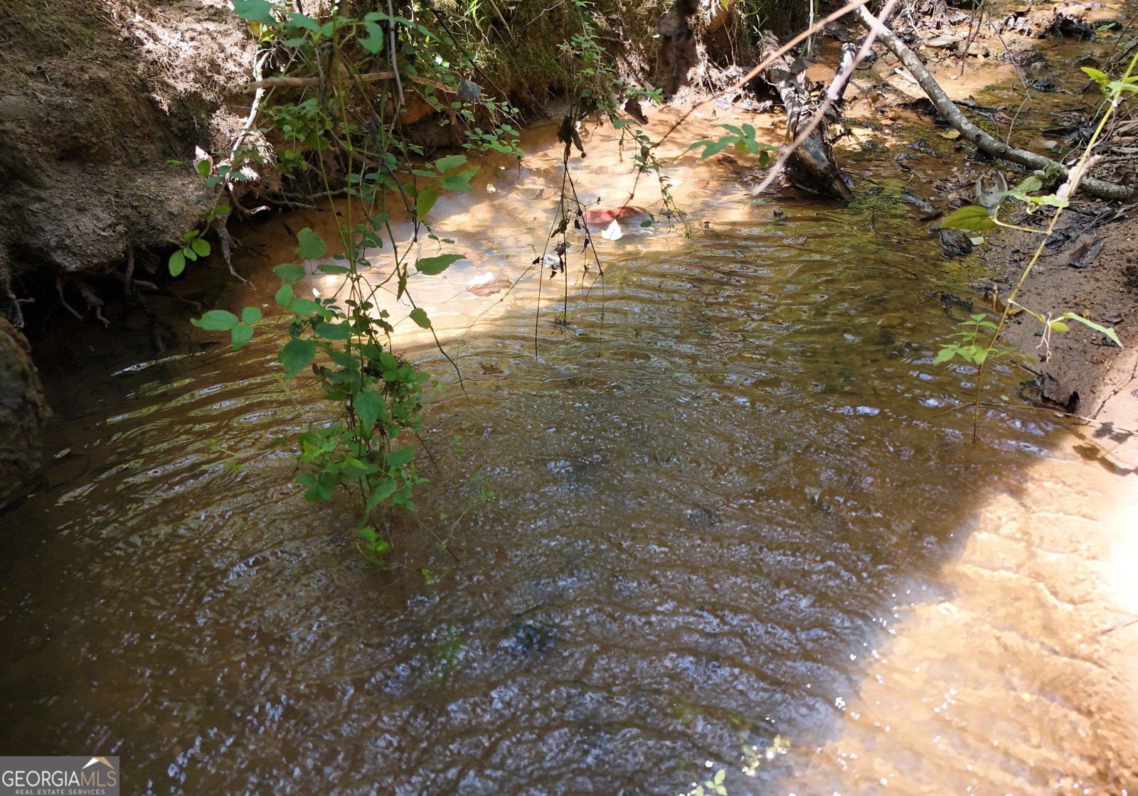 8465 Hwy 254 Cleveland - 22