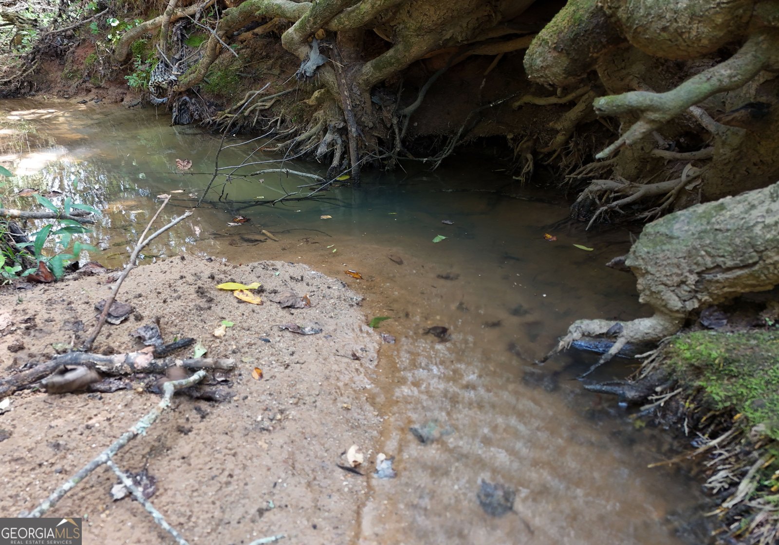 8465 Hwy 254 Cleveland - 23