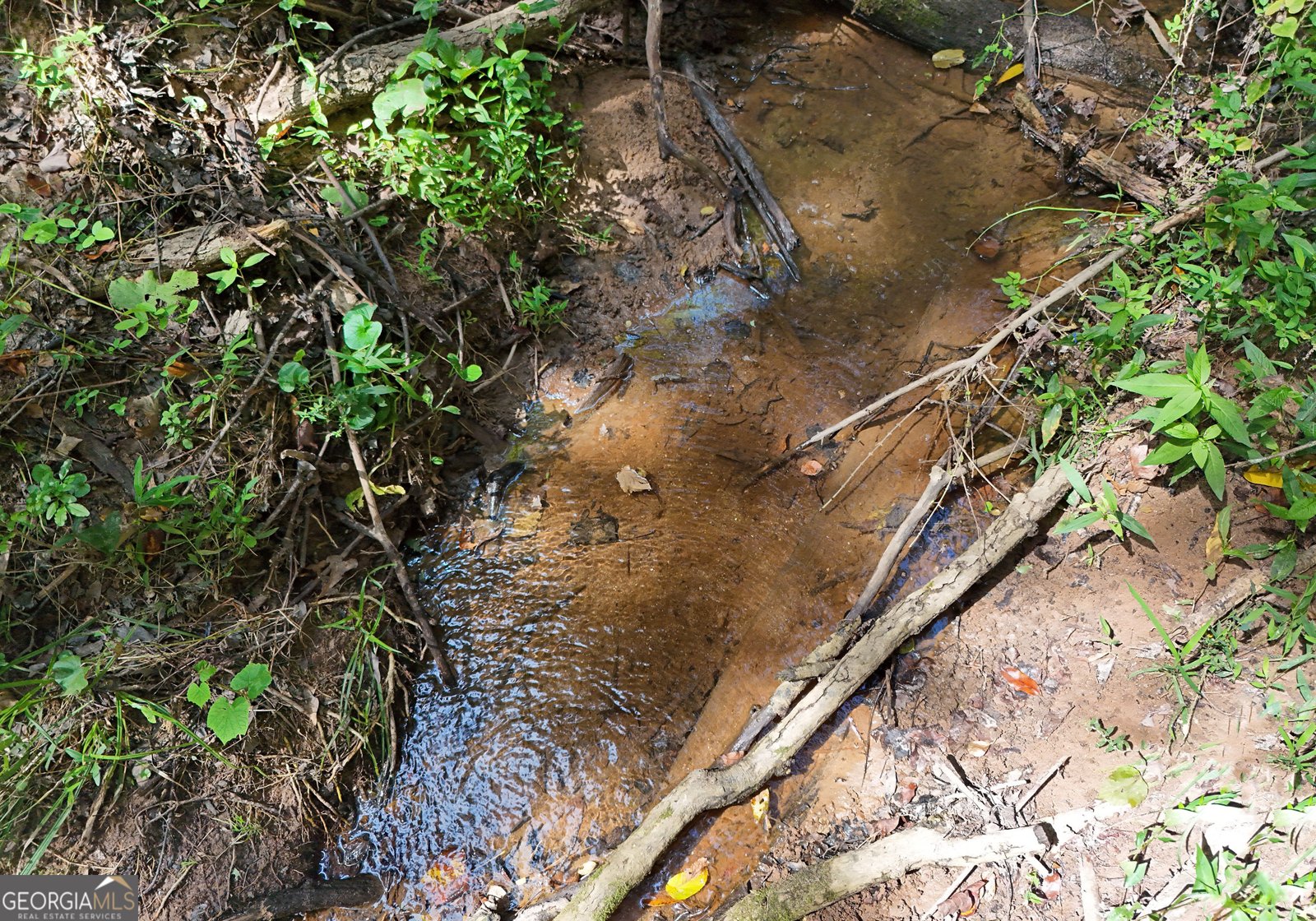 8465 Hwy 254 Cleveland - 24