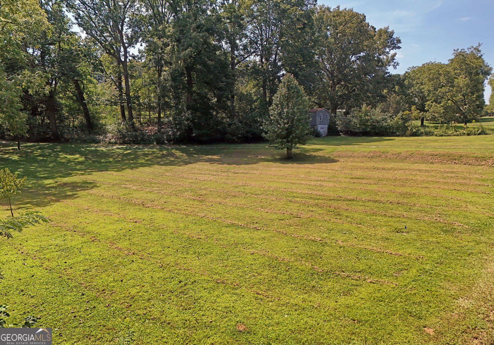 8465 Hwy 254 Cleveland - 4