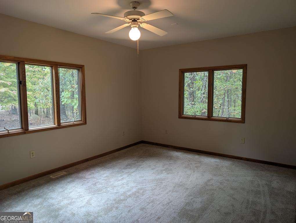 509 Old Mill Lane Waleska - 9