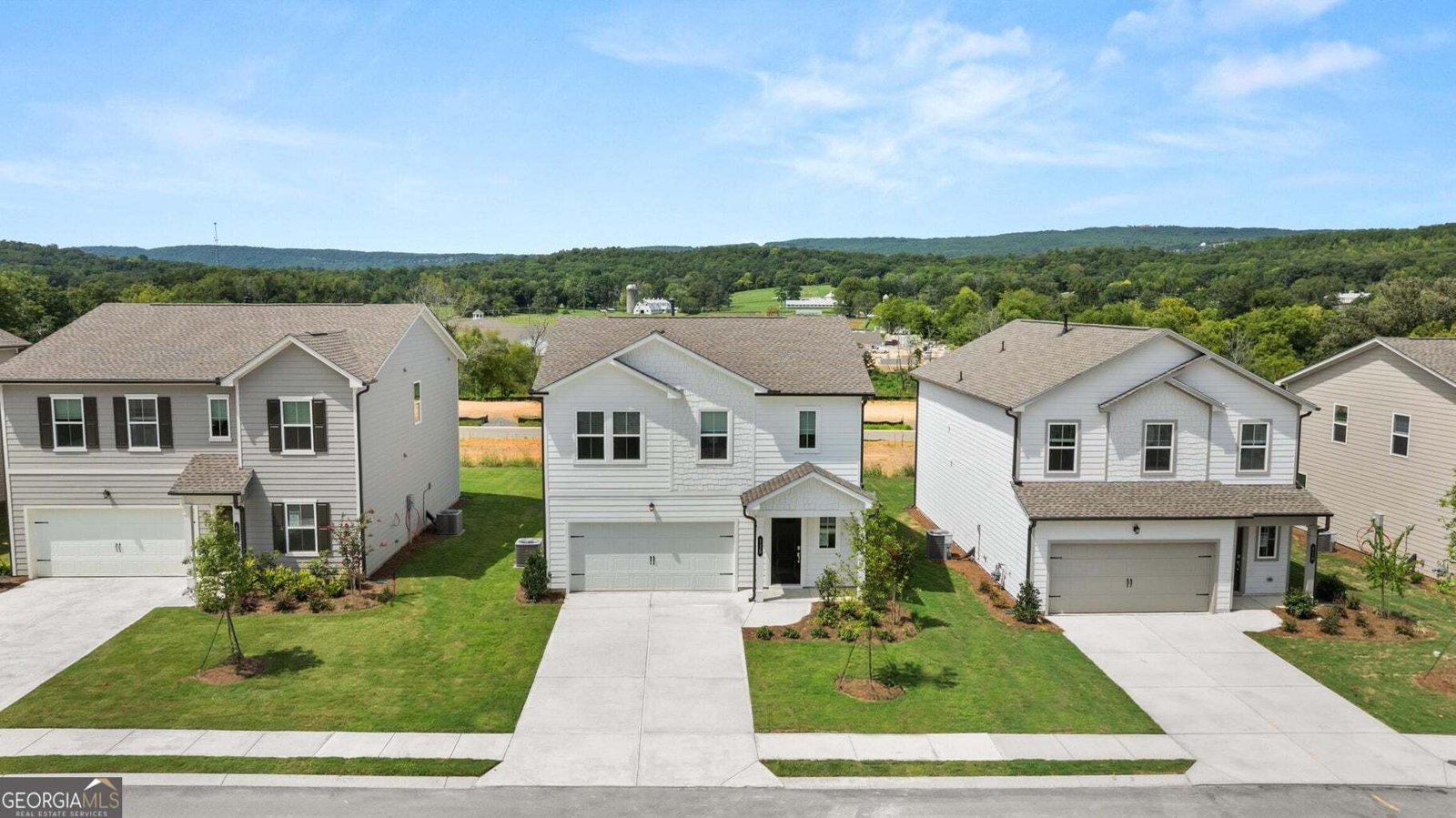 115 Saddlebred Way Rossville - 3