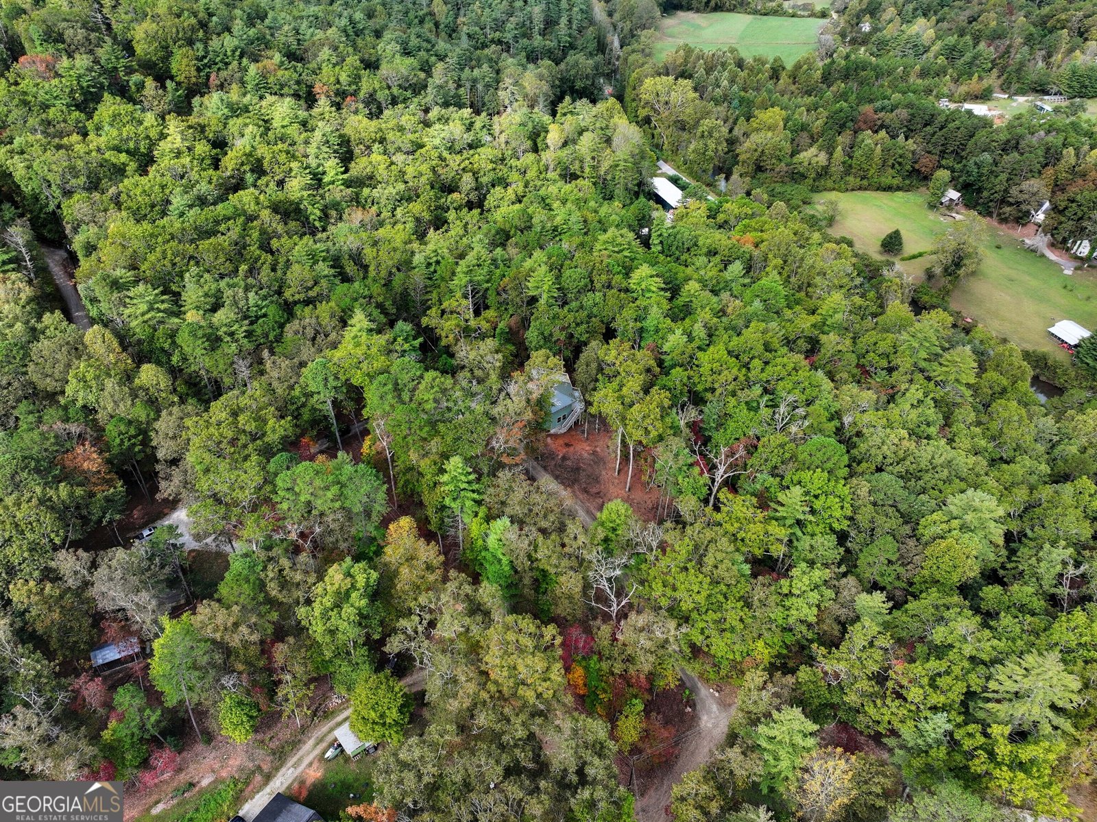 484 Mountain Stream Lane Lakemont - 41