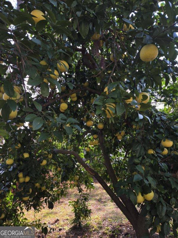 511 Smith Street Claxton - 51