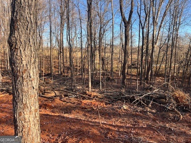 219 Signing Tree Lane Clarkesville - Photo 26