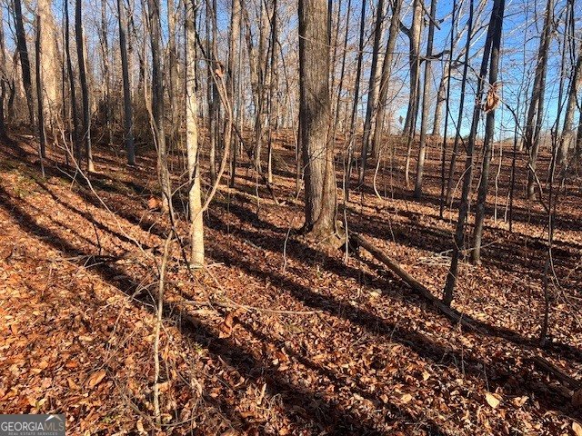 219 Signing Tree Lane Clarkesville - Photo 28