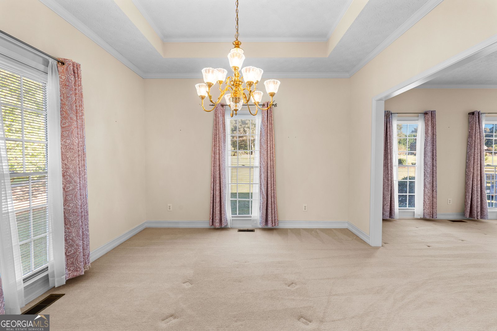 475 Castlewood Road Tyrone - 33