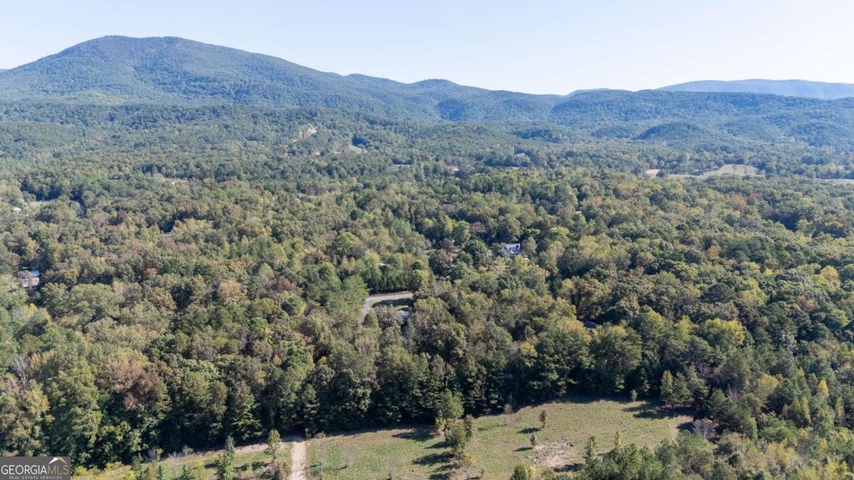 399 Estelle Middleton Road Chatsworth - 3