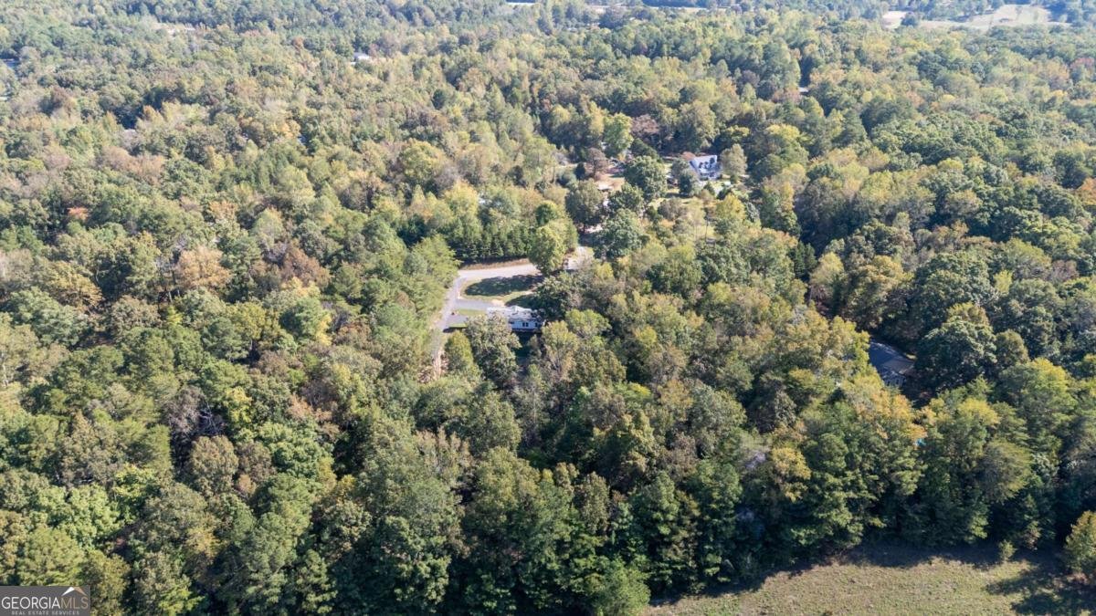 399 Estelle Middleton Road Chatsworth - 32