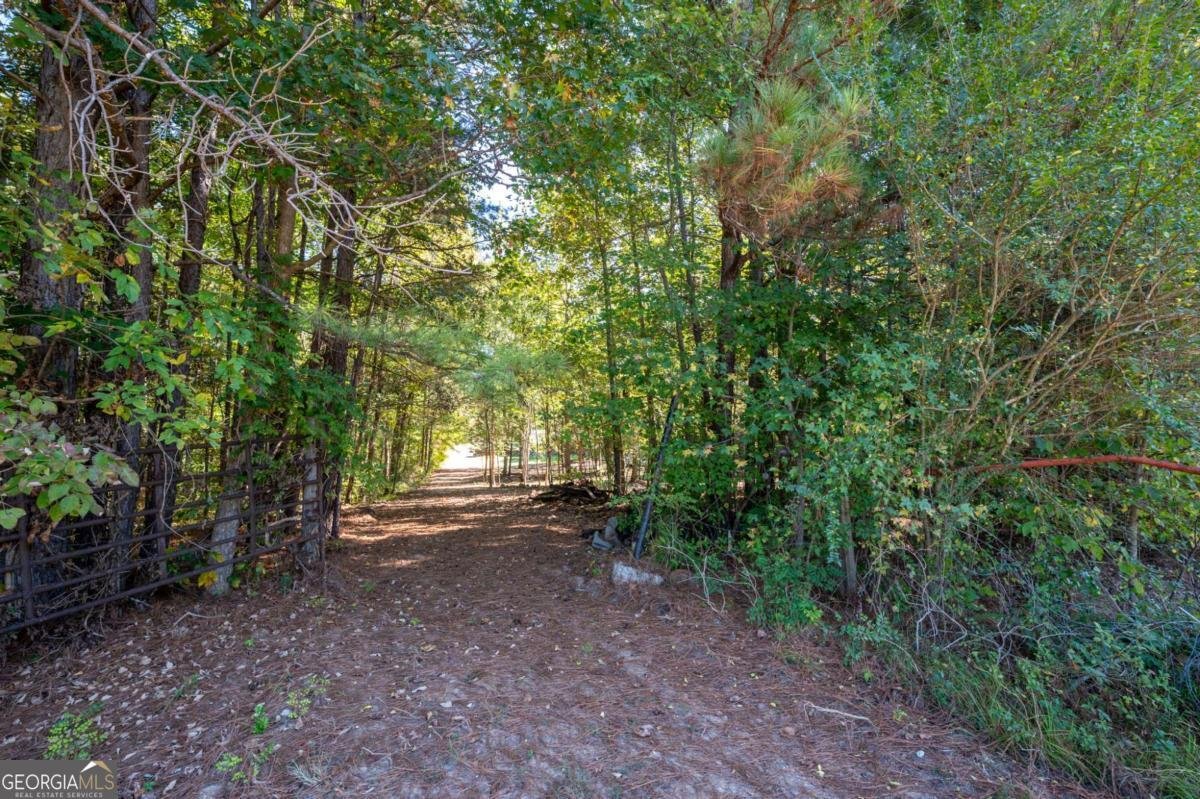 399 Estelle Middleton Road Chatsworth - 35