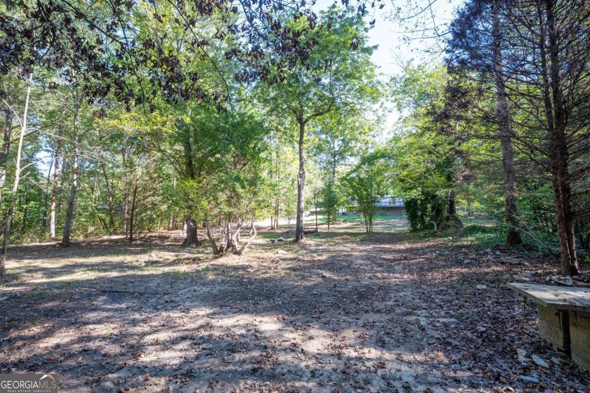 399 Estelle Middleton Road Chatsworth - 37