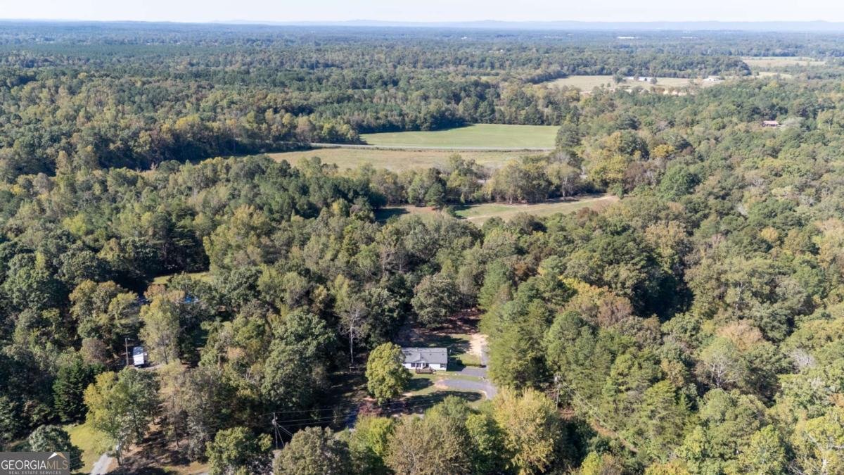 399 Estelle Middleton Road Chatsworth - 42