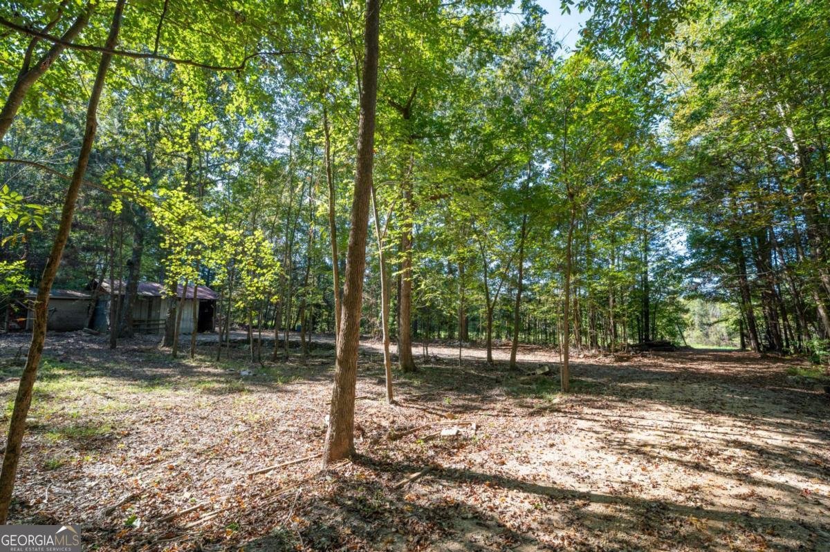 399 Estelle Middleton Road Chatsworth - 8