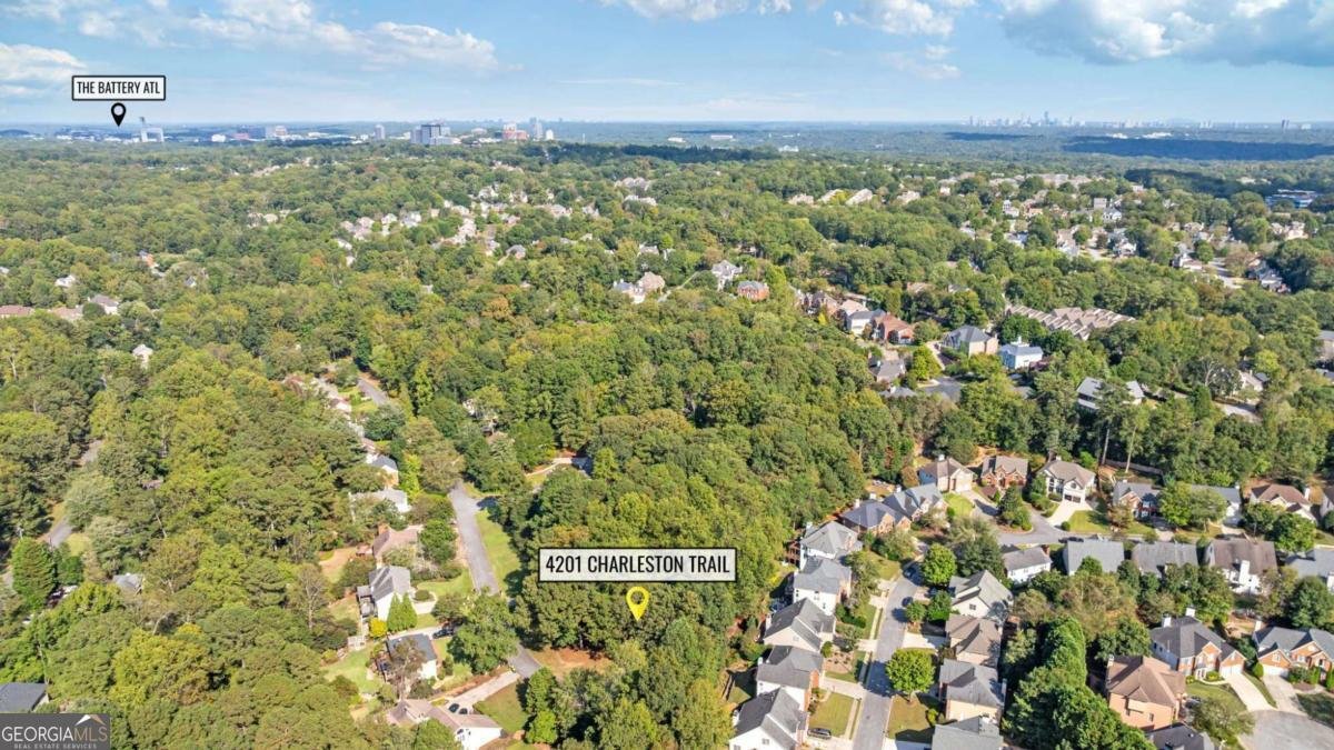4201 Charleston Trail Smyrna - 20