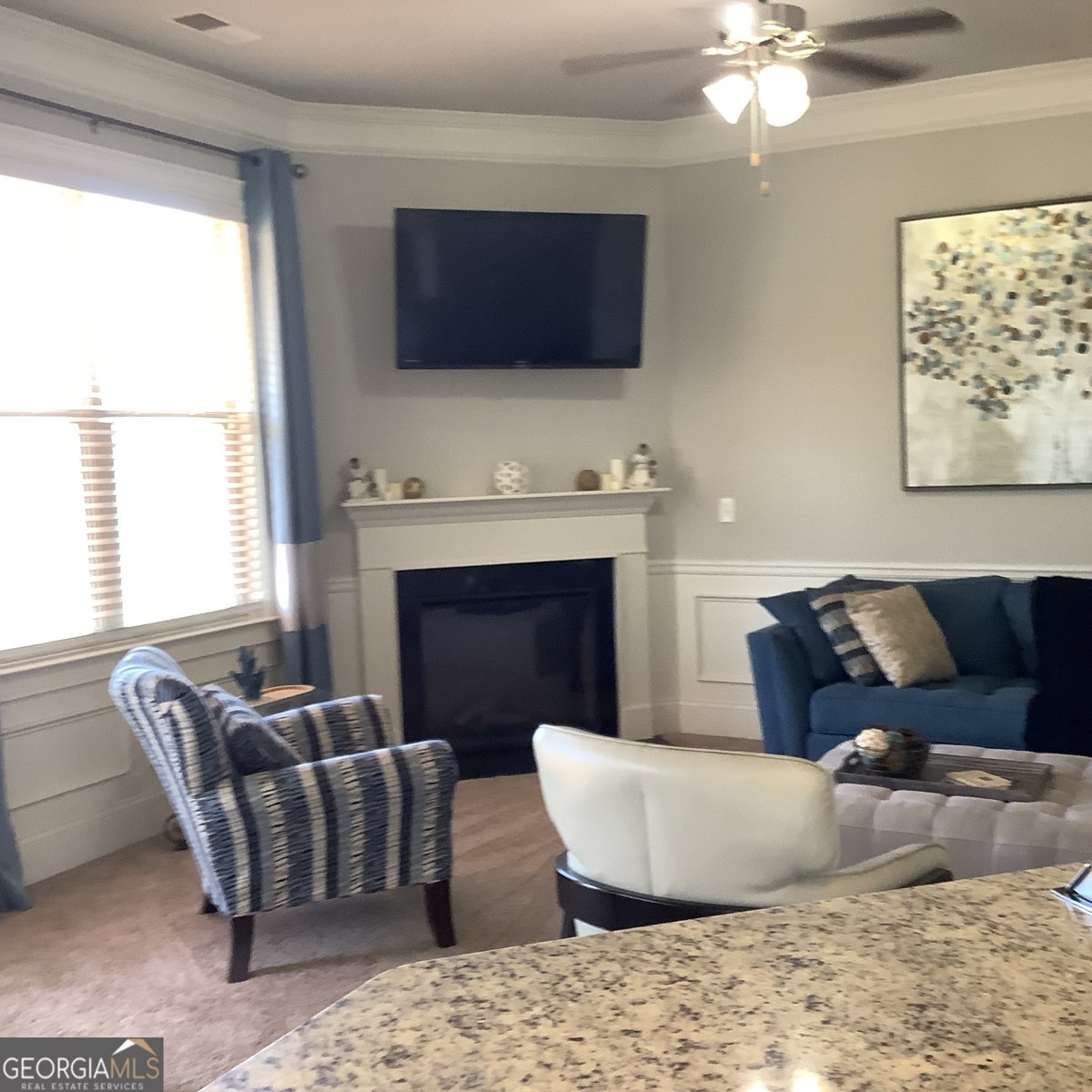 160 Elysian Drive Fayetteville - 21