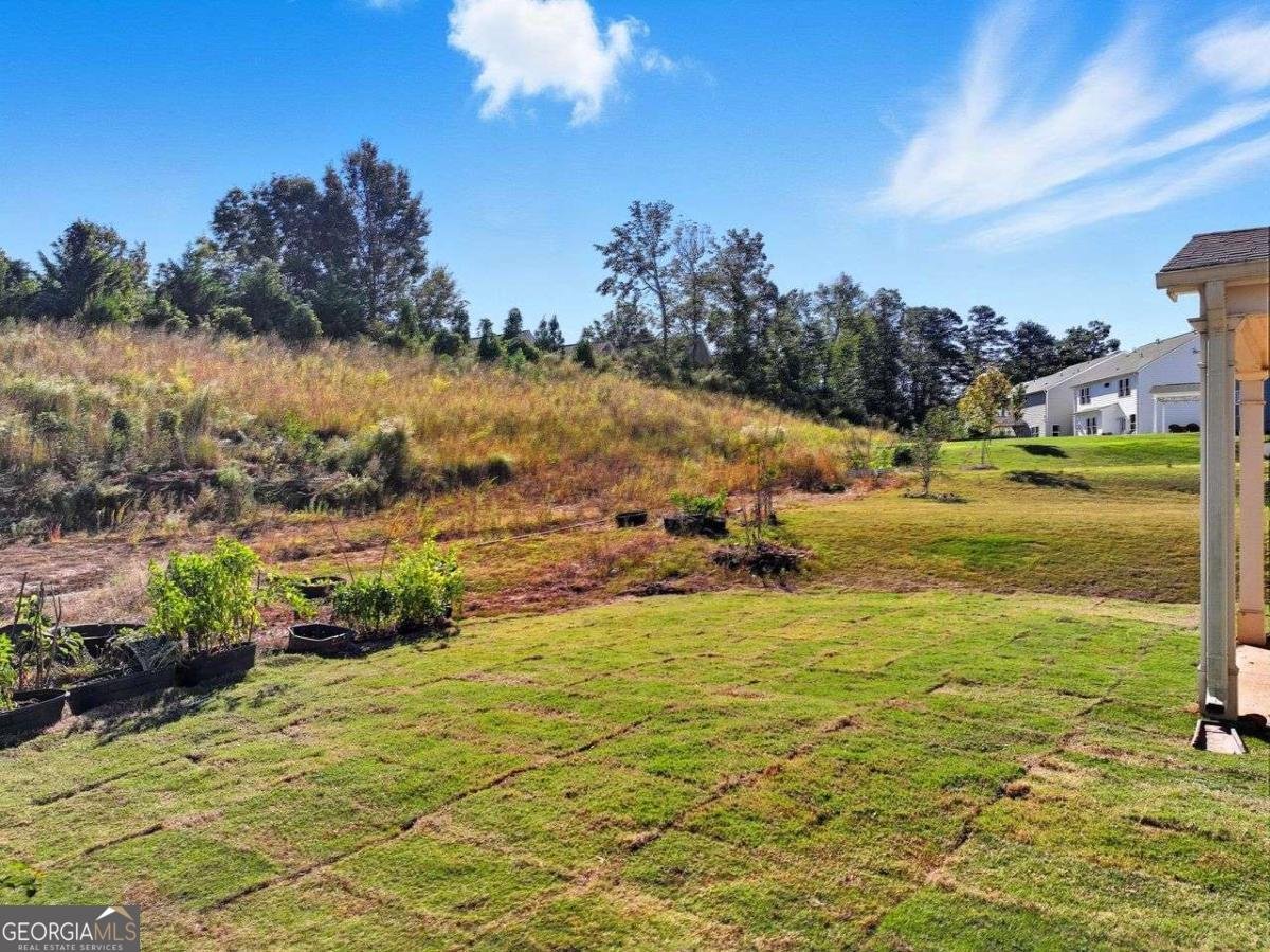 6165 BENNETT Parkway Cumming - 43