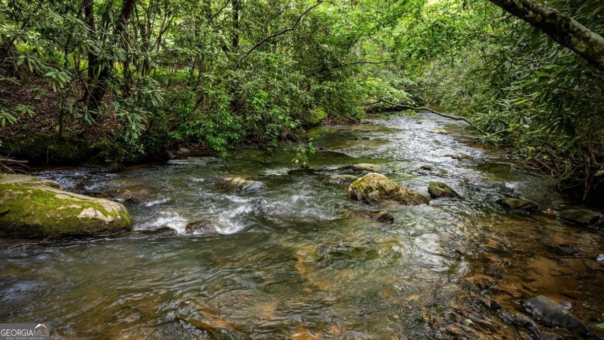 138 Wolf Creek Estates Mineral Bluff - 2