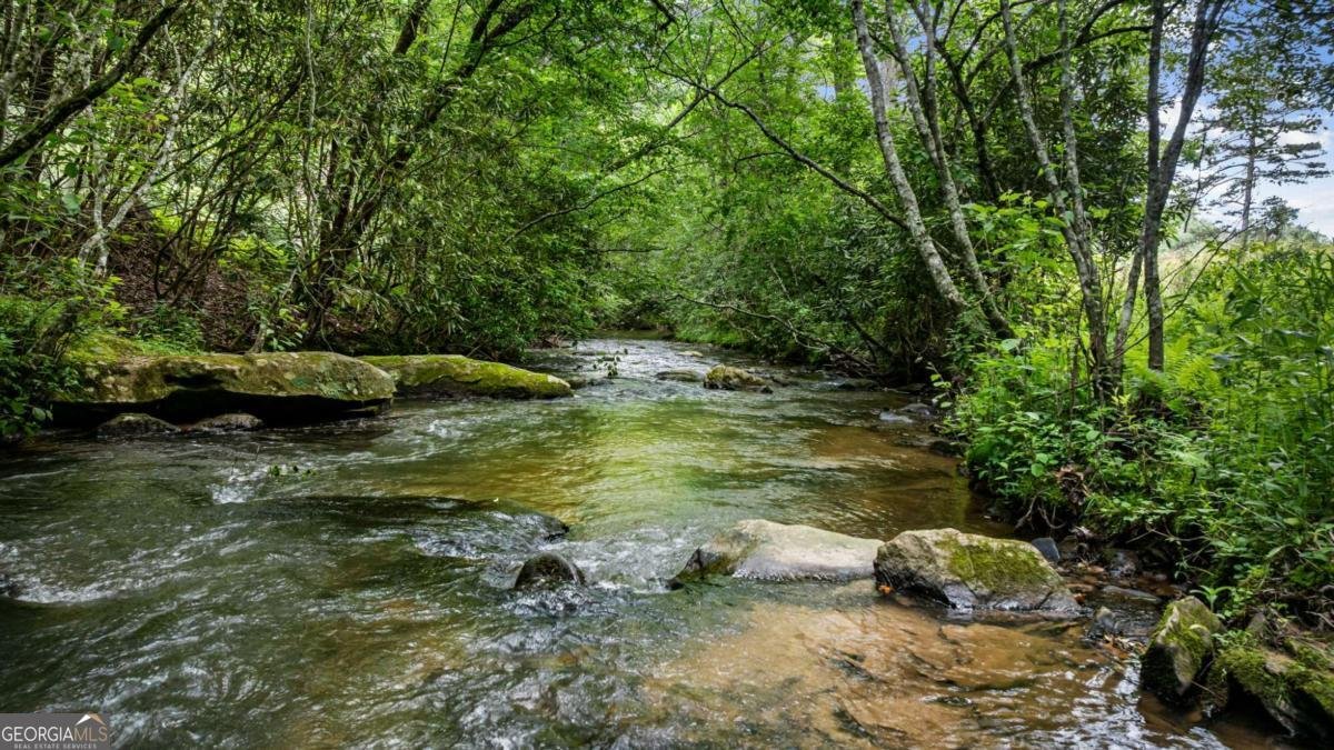 138 Wolf Creek Estates Mineral Bluff - 3