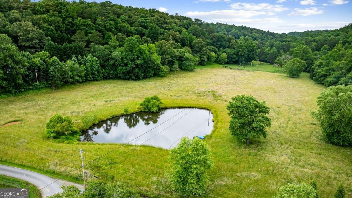 138 Wolf Creek Estates Mineral Bluff - 5