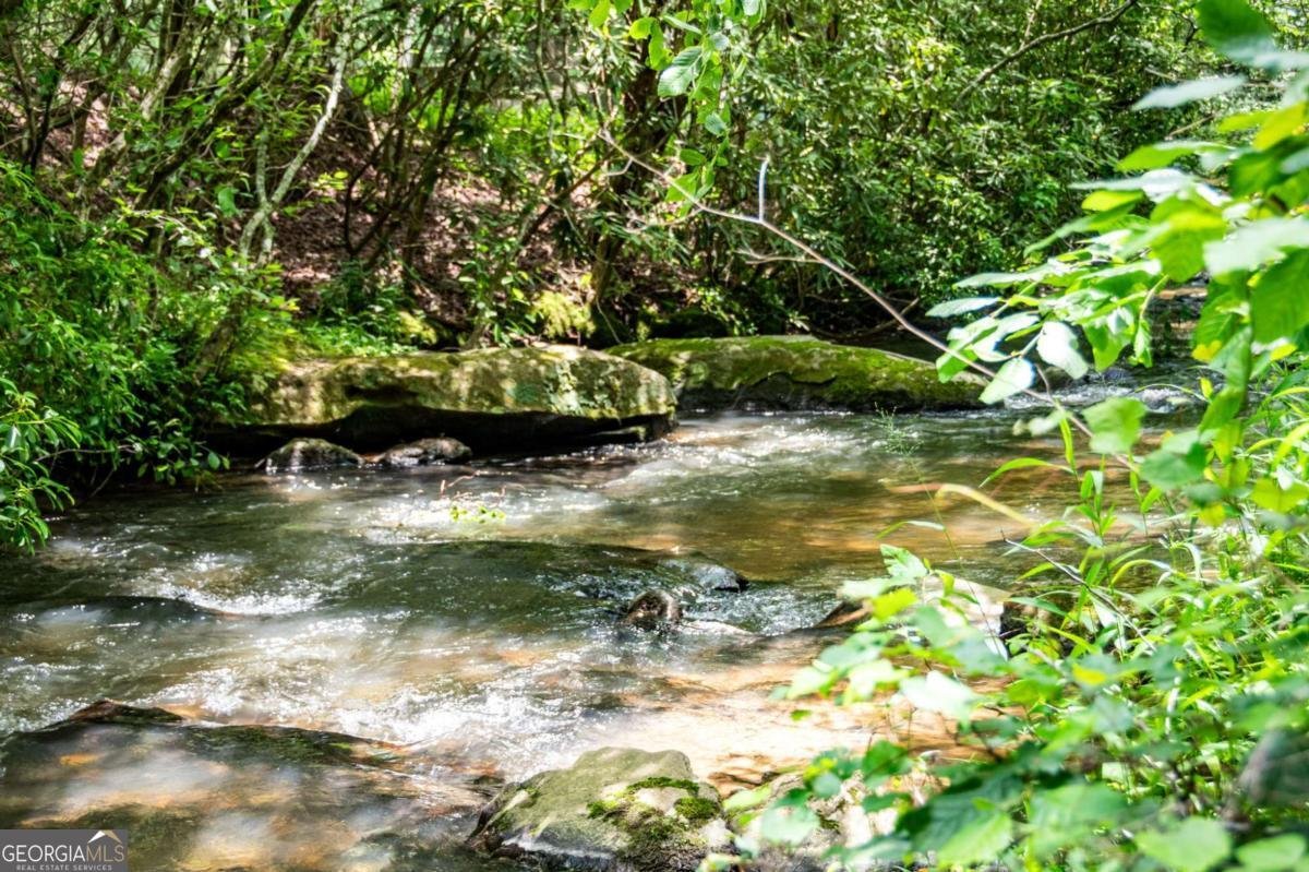 138 Wolf Creek Estates Mineral Bluff - 8