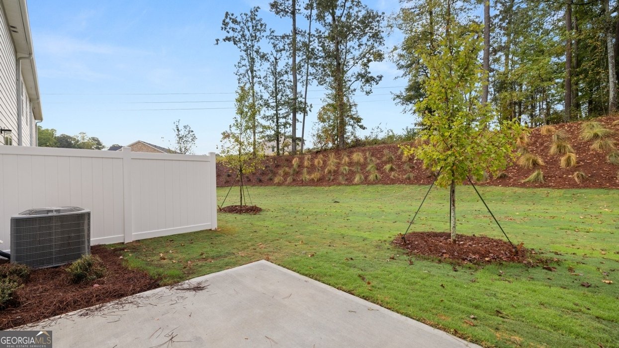 395 Silver Moon Drive Loganville - 10
