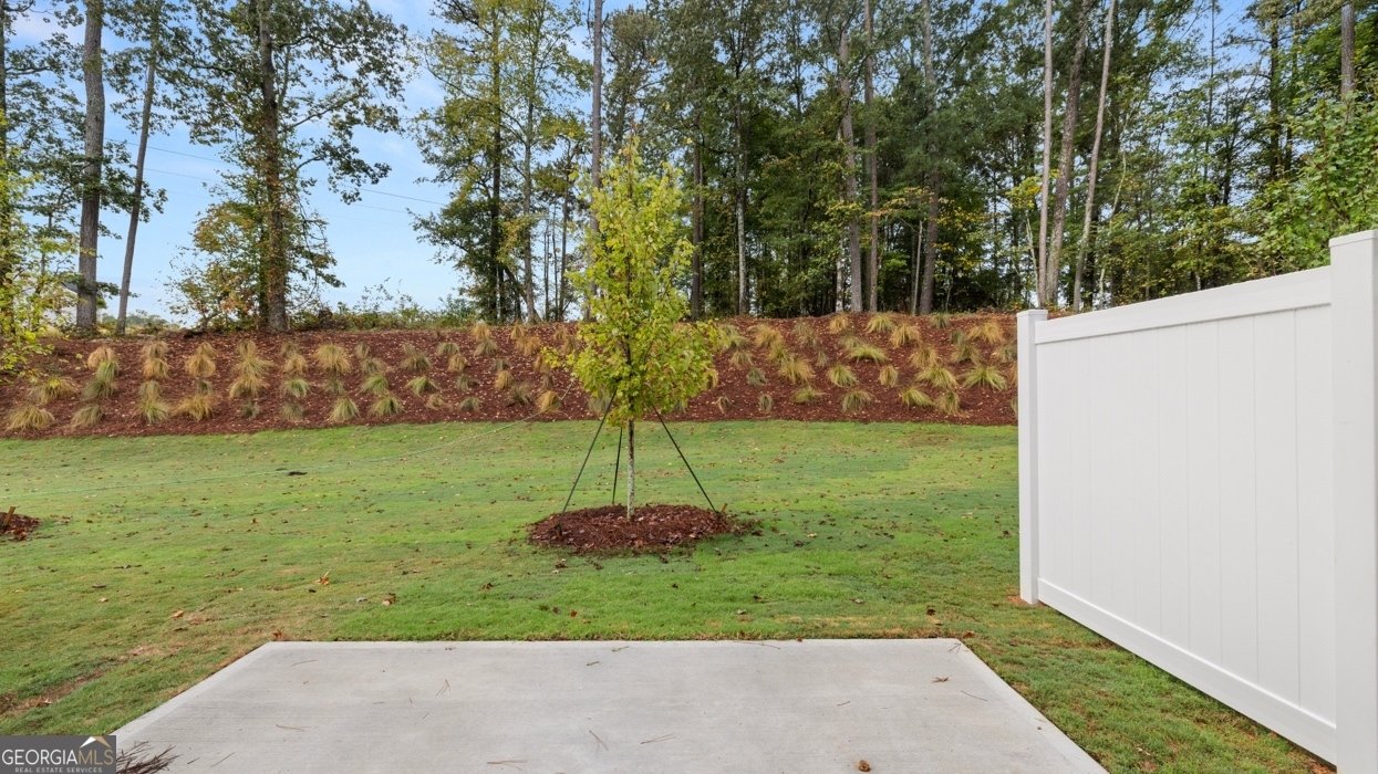 395 Silver Moon Drive Loganville - 9
