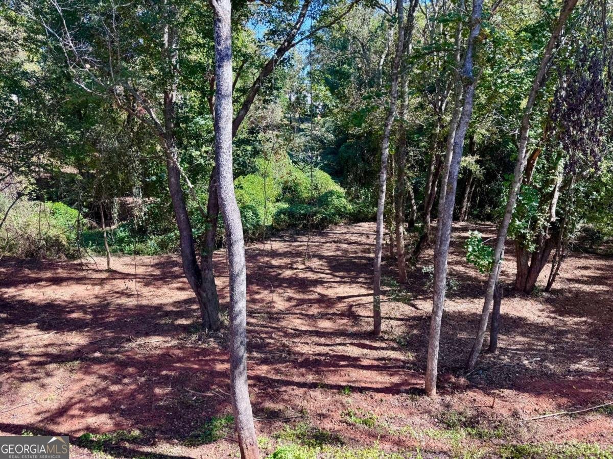 325 Magnolia Villas Drive Cornelia - 57