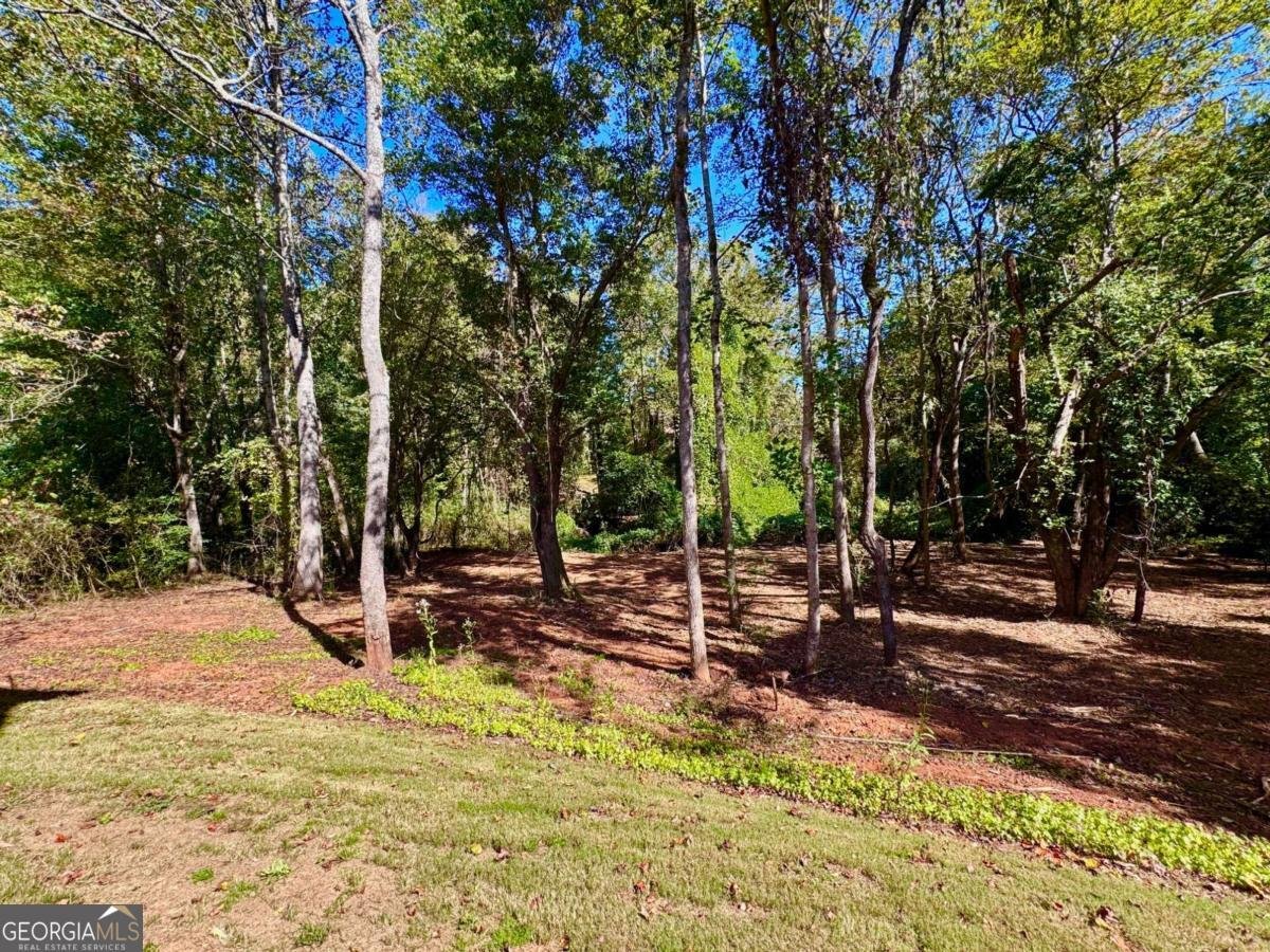 325 Magnolia Villas Drive Cornelia - 59