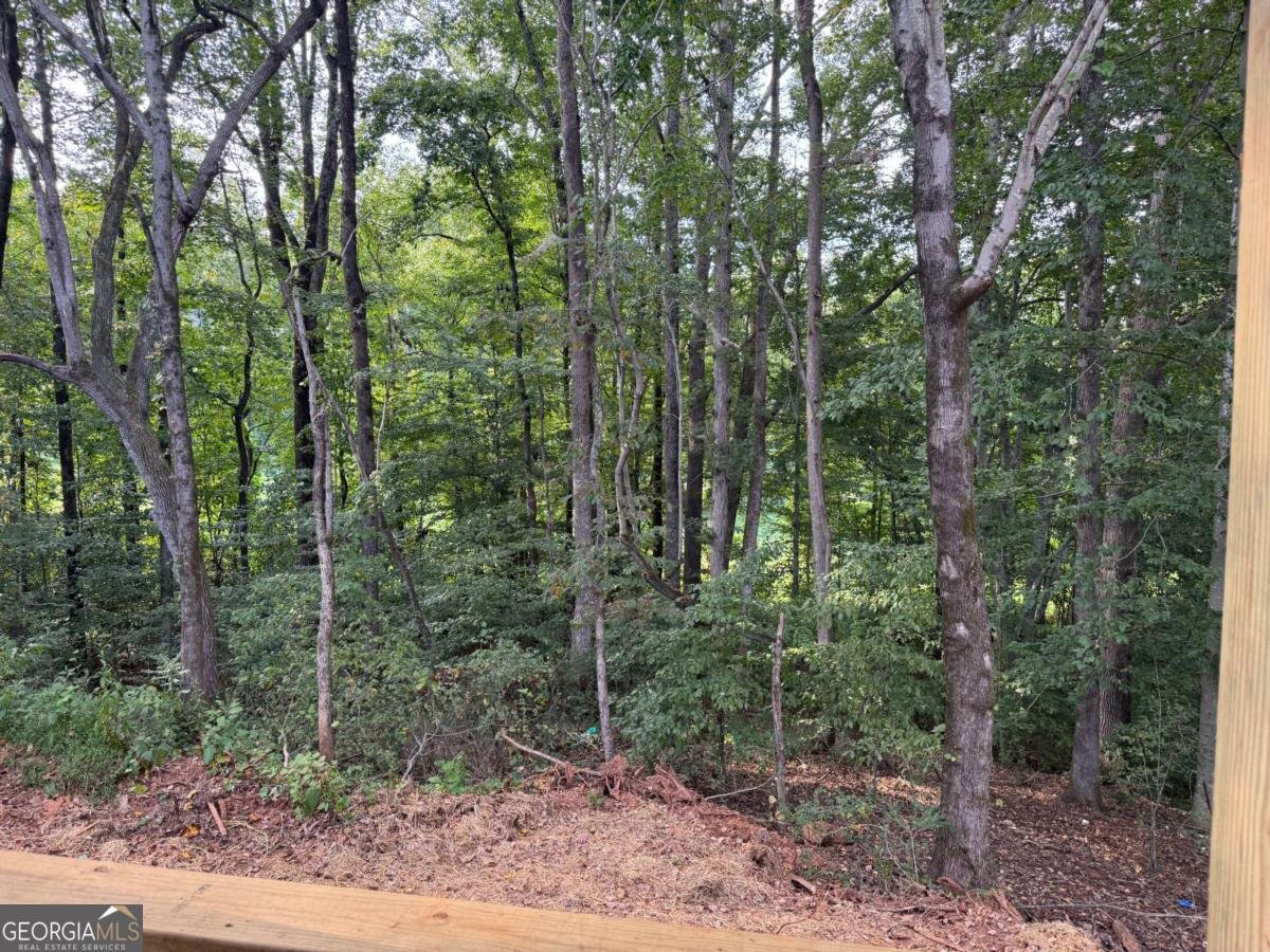 489 Magnolia Grove Place Cornelia - 2