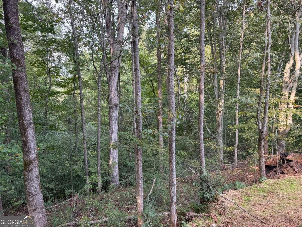 489 Magnolia Grove Place Cornelia - 55