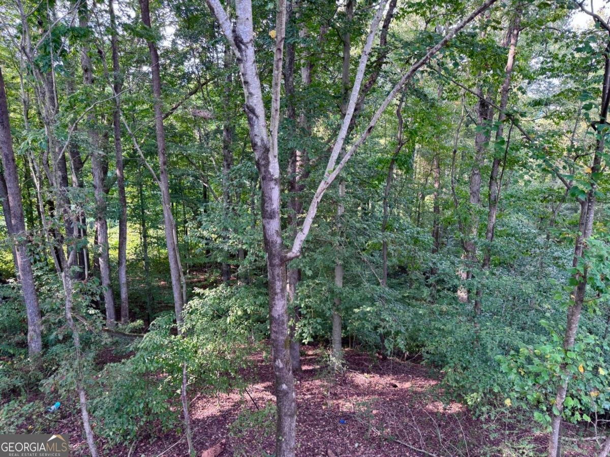 489 Magnolia Grove Place Cornelia - 62