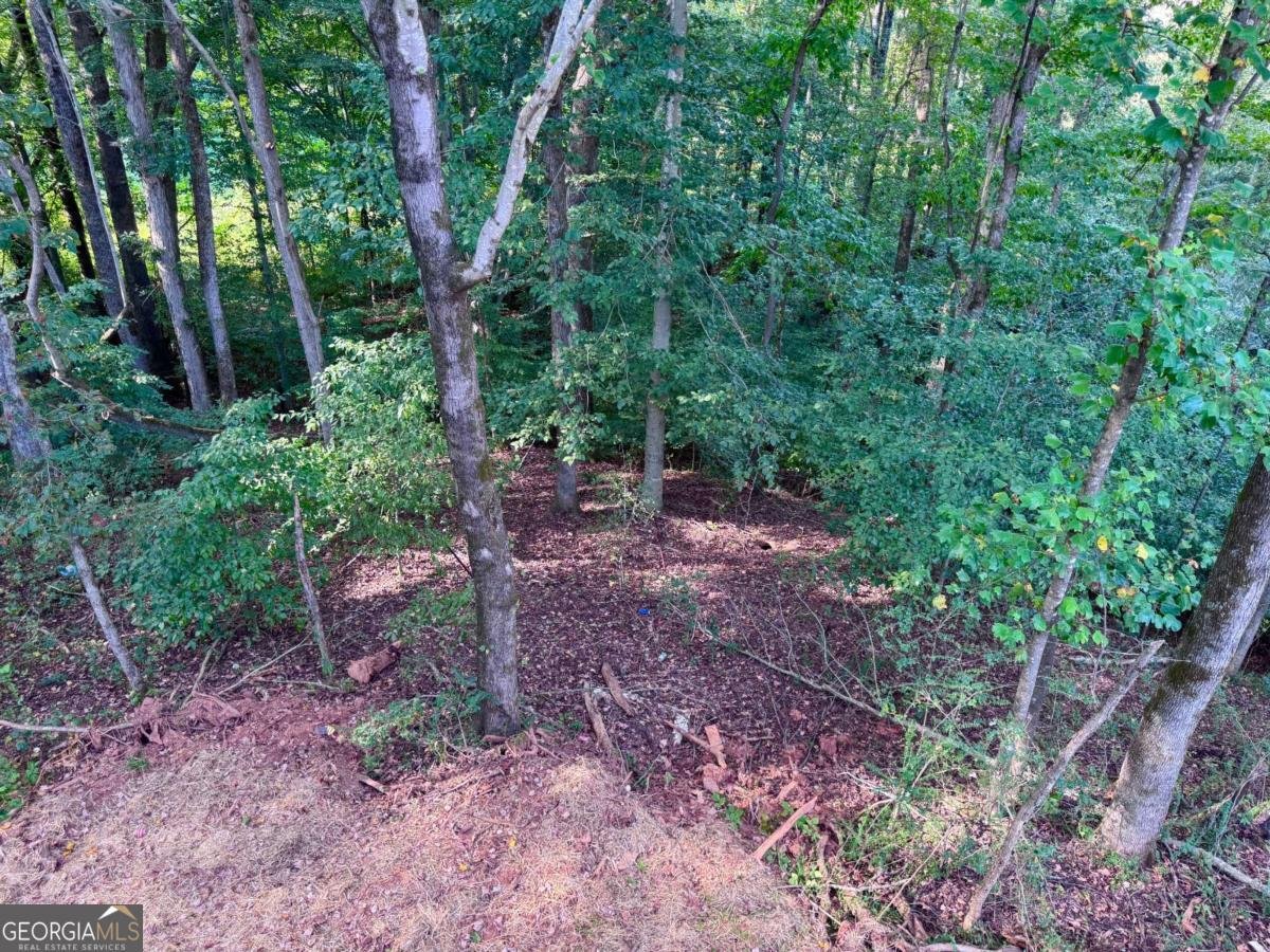 489 Magnolia Grove Place Cornelia - 9