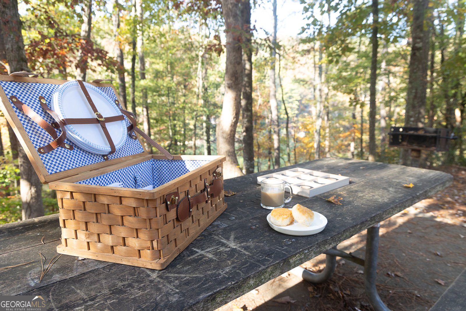 84 Ridge Line Trail Ellijay - 23