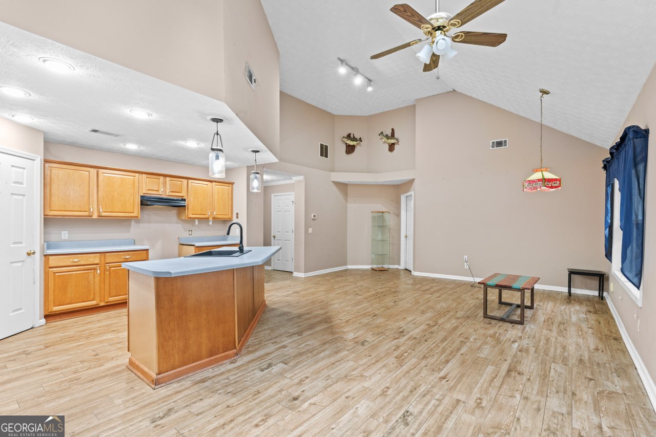 486 Hickory Circle Griffin - 5